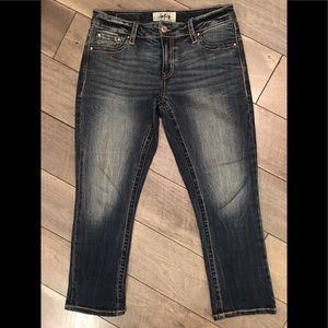 Daytrip Virgo Crop Jeans